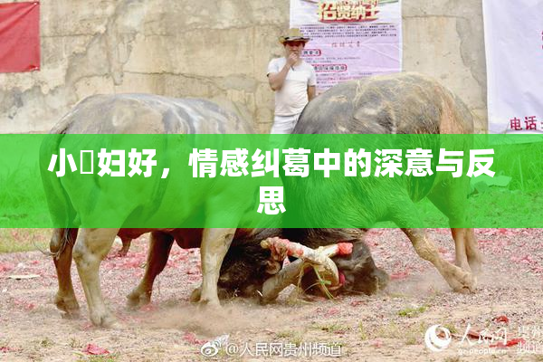小婬妇好，情感纠葛中的深意与反思