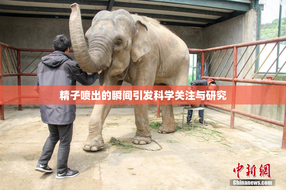 精子喷出的瞬间引发科学关注与研究