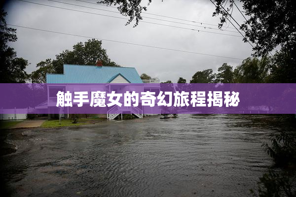 触手魔女的奇幻旅程揭秘