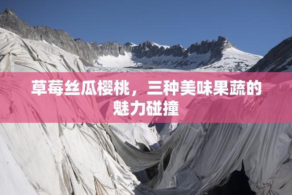 草莓丝瓜樱桃，三种美味果蔬的魅力碰撞