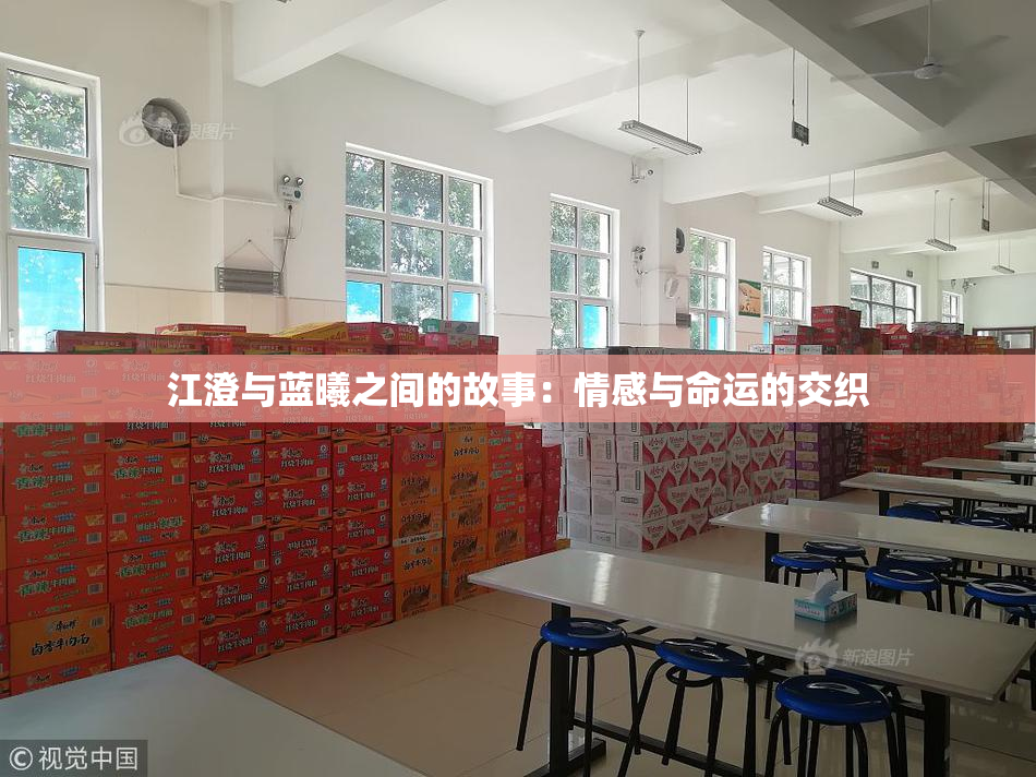 江澄与蓝曦之间的故事：情感与命运的交织