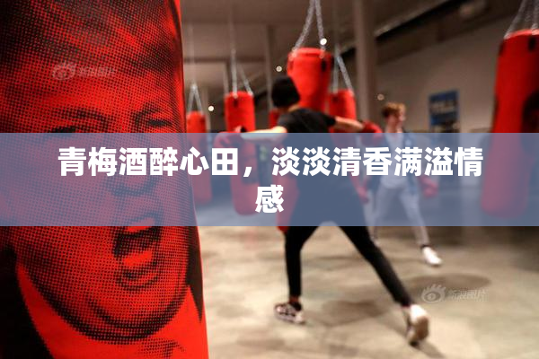 青梅酒醉心田，淡淡清香满溢情感
