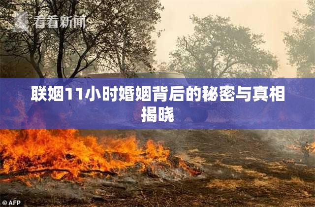 联姻11小时婚姻背后的秘密与真相揭晓