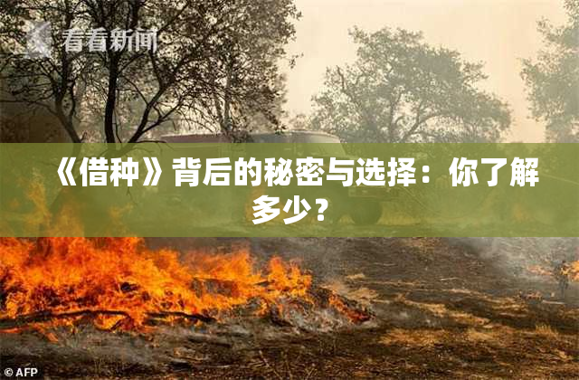 《借种》背后的秘密与选择：你了解多少？