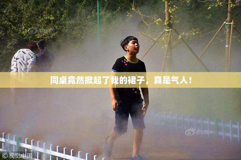 同桌竟然掀起了我的裙子，真是气人！