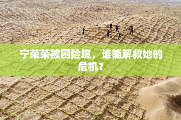 宁荣荣被困险境，谁能解救她的危机？