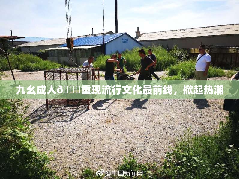 九幺成人🔞重现流行文化最前线，掀起热潮