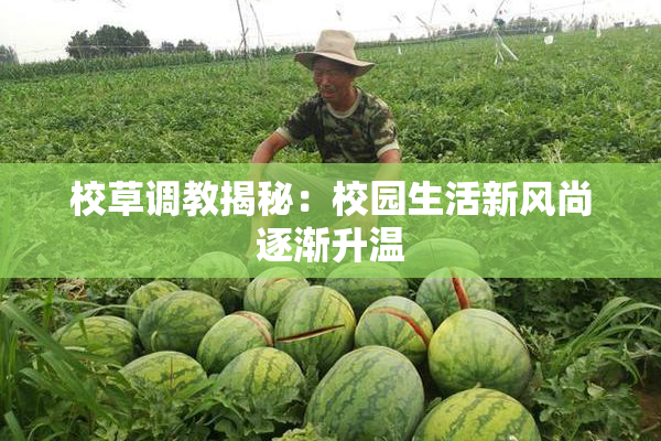 校草调教揭秘：校园生活新风尚逐渐升温
