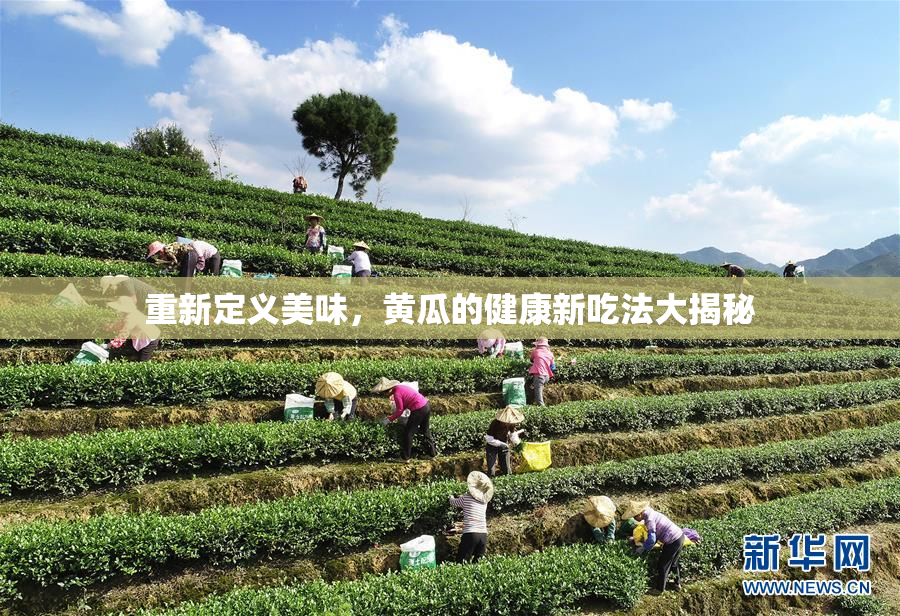 重新定义美味，黄瓜的健康新吃法大揭秘