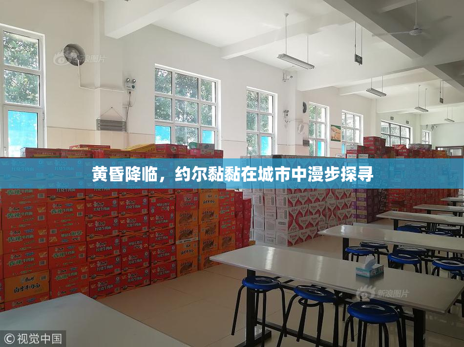 黄昏降临，约尔黏黏在城市中漫步探寻