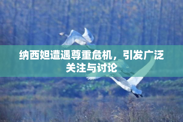 纳西妲遭遇尊重危机，引发广泛关注与讨论