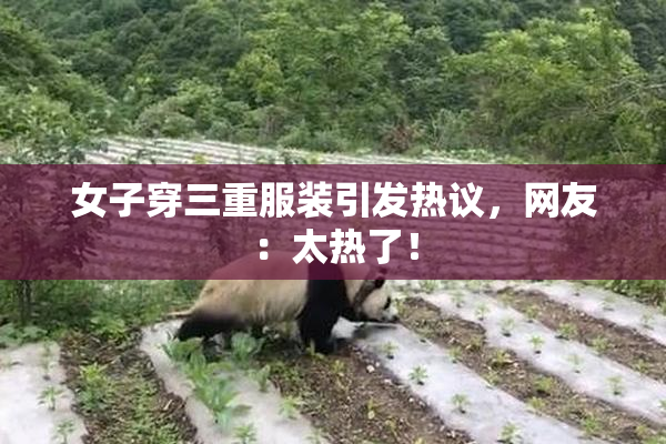 女子穿三重服装引发热议，网友：太热了！