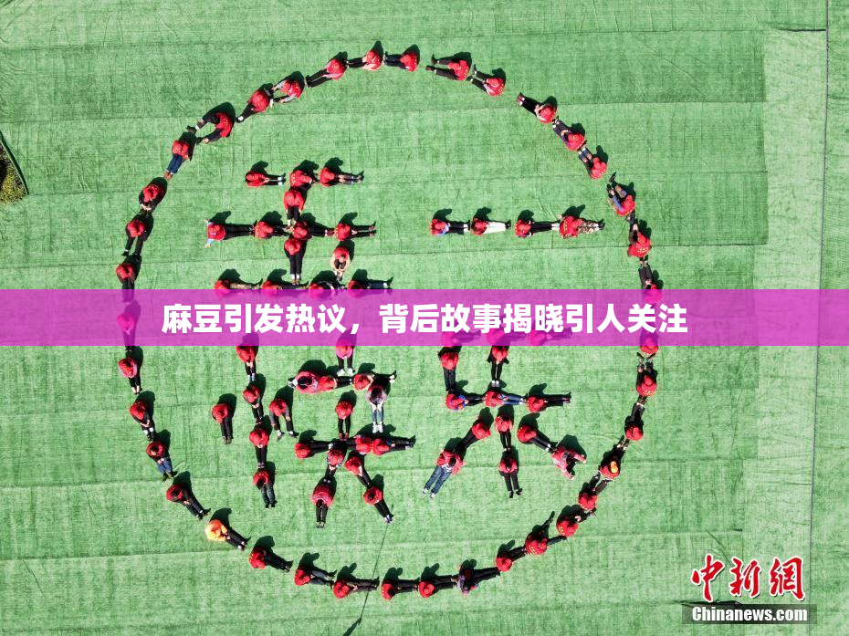 麻豆引发热议，背后故事揭晓引人关注