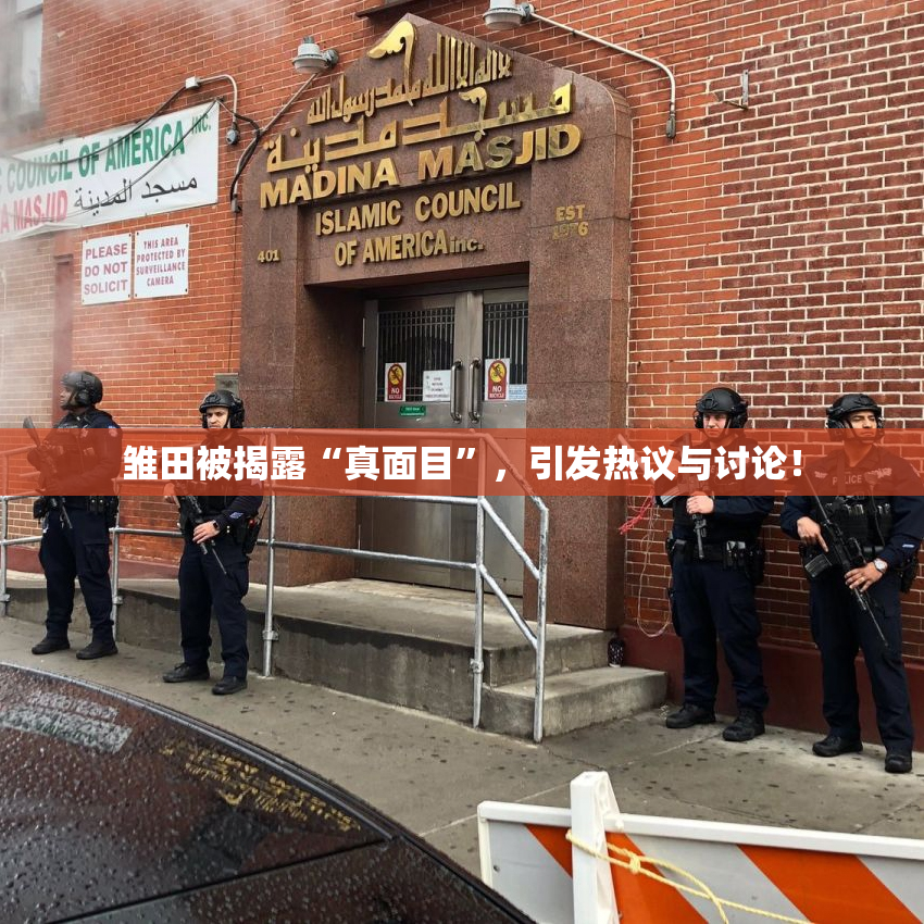 雏田被揭露“真面目”，引发热议与讨论！