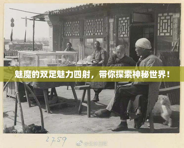 魅魔的双足魅力四射，带你探索神秘世界！