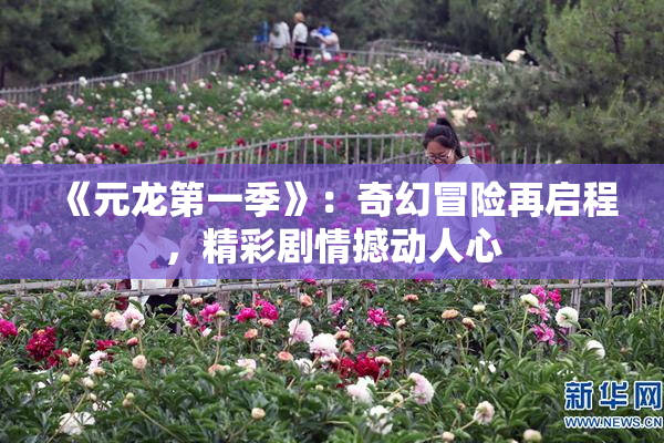 《元龙第一季》：奇幻冒险再启程，精彩剧情撼动人心
