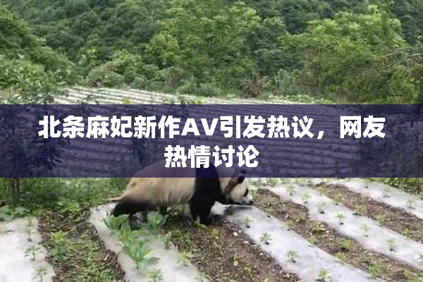 北条麻妃新作AV引发热议，网友热情讨论