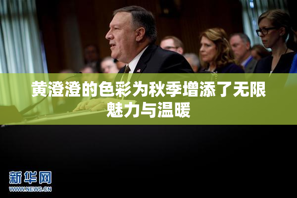 黄澄澄的色彩为秋季增添了无限魅力与温暖