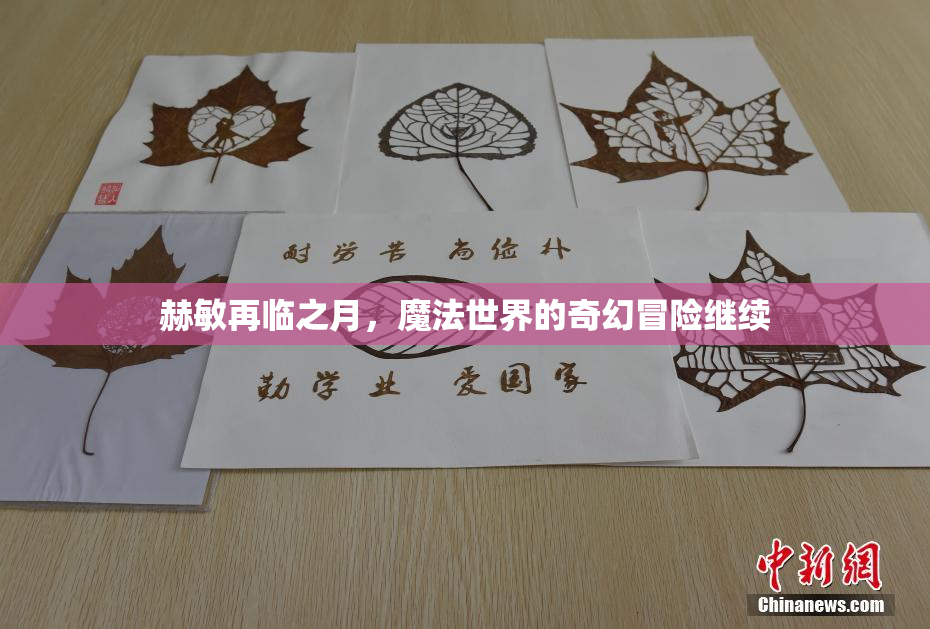 赫敏再临之月，魔法世界的奇幻冒险继续