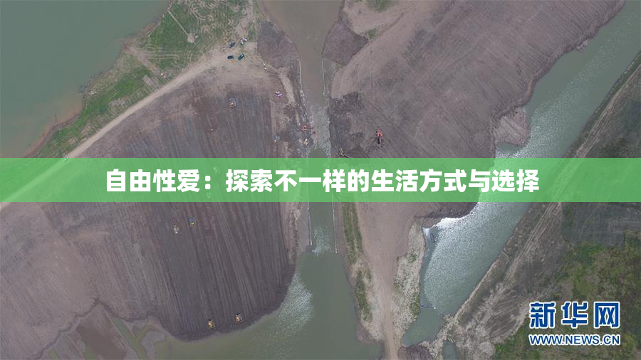 自由性爱：探索不一样的生活方式与选择
