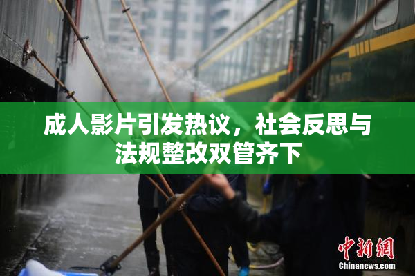 成人影片引发热议，社会反思与法规整改双管齐下