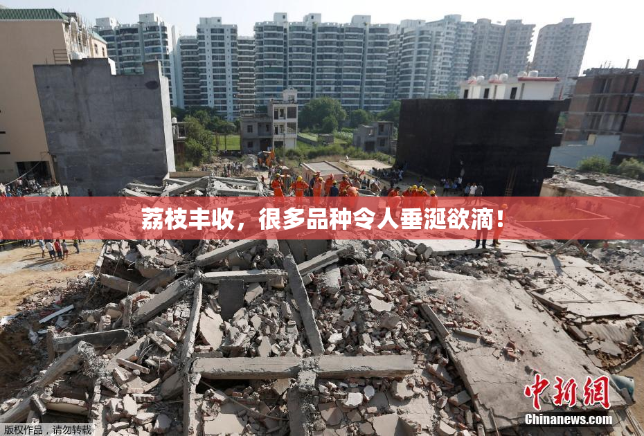 荔枝丰收，很多品种令人垂涎欲滴！