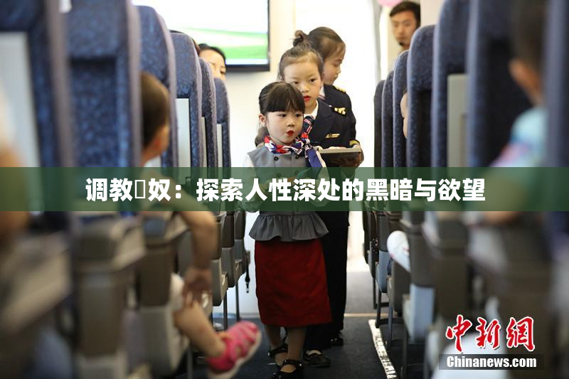 调教婬奴：探索人性深处的黑暗与欲望