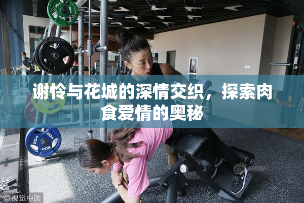 谢怜与花城的深情交织，探索肉食爱情的奥秘