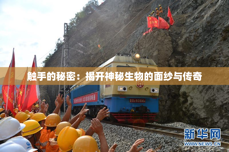触手的秘密：揭开神秘生物的面纱与传奇