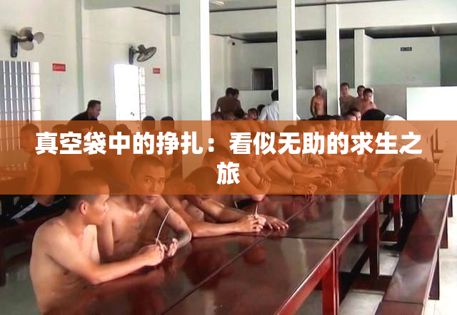 真空袋中的挣扎：看似无助的求生之旅