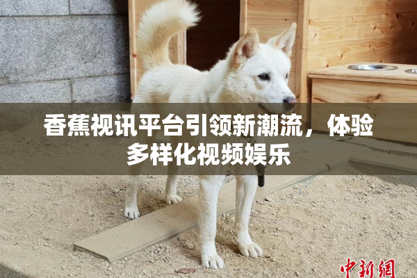 香蕉视讯平台引领新潮流，体验多样化视频娱乐
