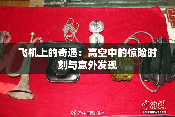 飞机上的奇遇：高空中的惊险时刻与意外发现