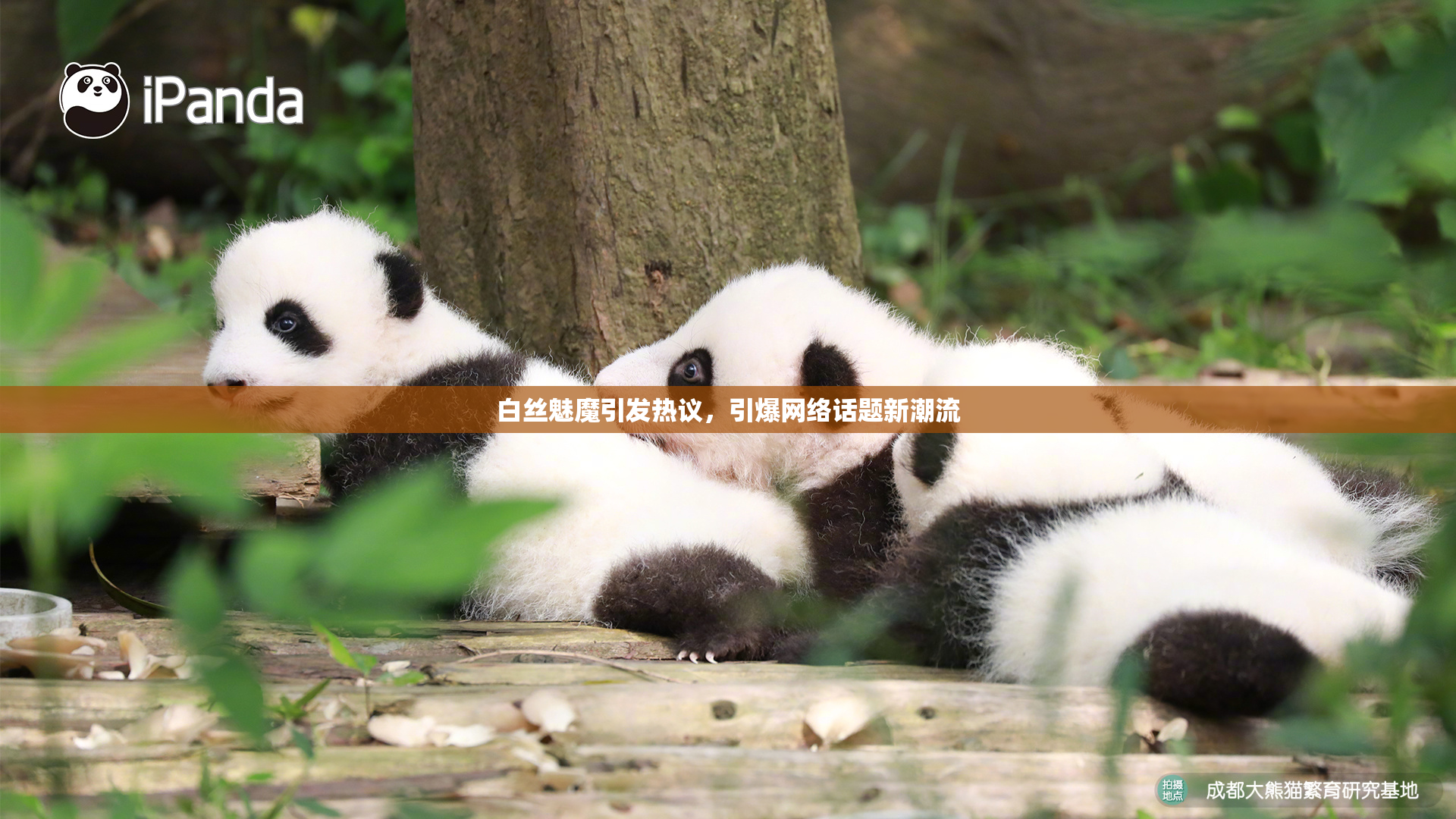 白丝魅魔引发热议，引爆网络话题新潮流