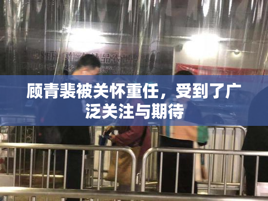 顾青裴被关怀重任，受到了广泛关注与期待