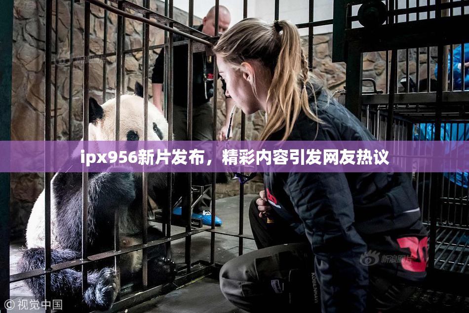 ipx956新片发布，精彩内容引发网友热议