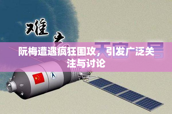 阮梅遭遇疯狂围攻，引发广泛关注与讨论