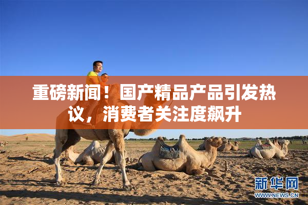 重磅新闻！国产精品产品引发热议，消费者关注度飙升