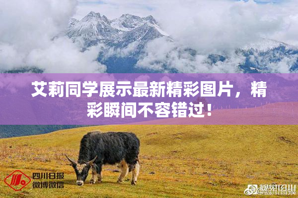艾莉同学展示最新精彩图片，精彩瞬间不容错过！