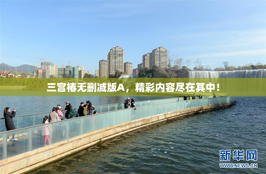 三宫椿无删减版A，精彩内容尽在其中！