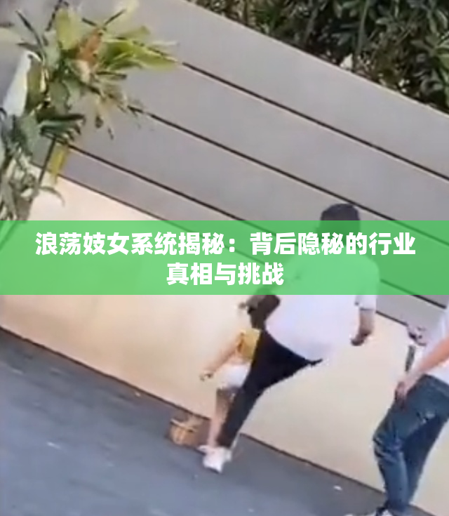浪荡妓女系统揭秘：背后隐秘的行业真相与挑战