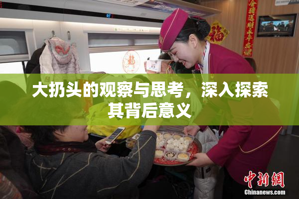 大扔头的观察与思考，深入探索其背后意义