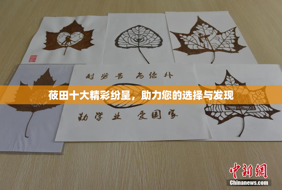 莜田十大精彩纷呈，助力您的选择与发现