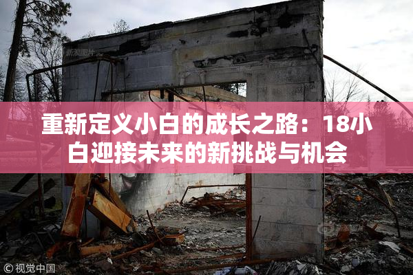 重新定义小白的成长之路：18小白迎接未来的新挑战与机会