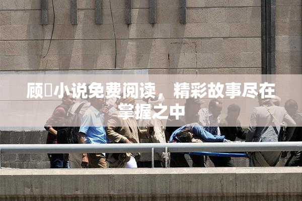 顾嫚小说免费阅读，精彩故事尽在掌握之中