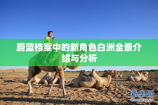蔚蓝档案中的新角色白洲全景介绍与分析