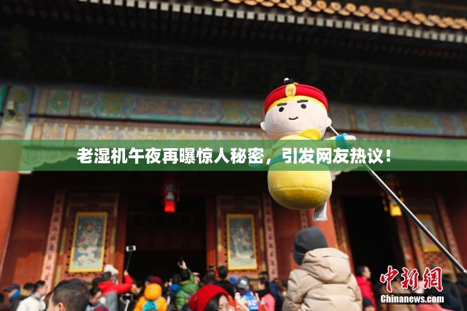 老湿机午夜再曝惊人秘密，引发网友热议！
