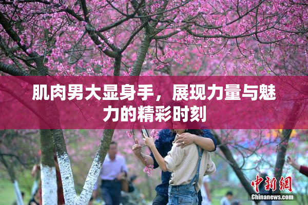 肌肉男大显身手，展现力量与魅力的精彩时刻