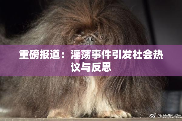 重磅报道：淫荡事件引发社会热议与反思