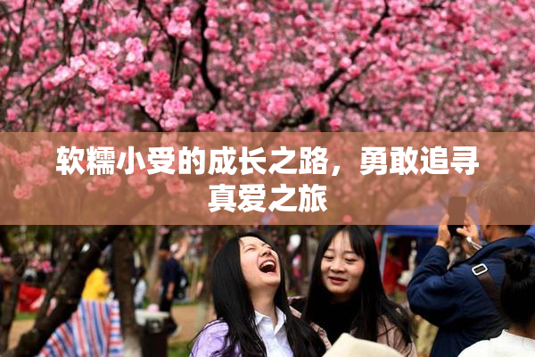 软糯小受的成长之路，勇敢追寻真爱之旅