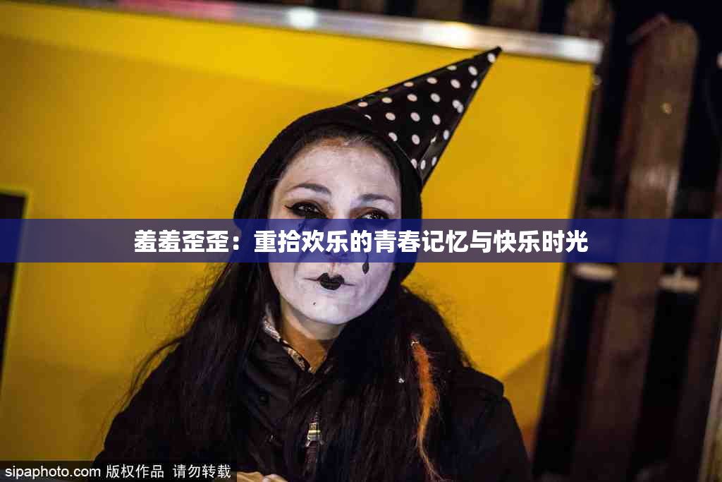 羞羞歪歪：重拾欢乐的青春记忆与快乐时光